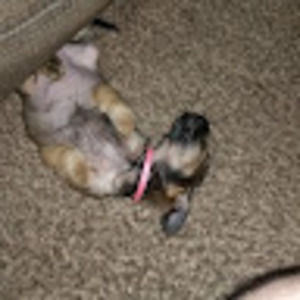 Meet your Posher, Matt